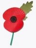 Audio & video recordings of the Remembrance Sunday service 8th November 2020 thumbnail